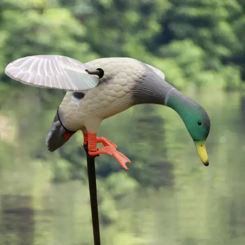 Mallard Decoy (Battery Powered Wings)