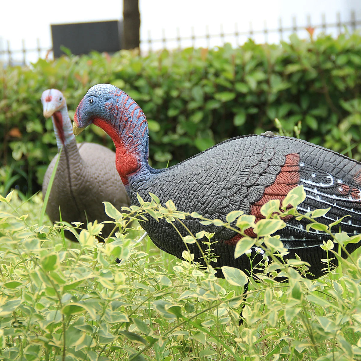 Realistic Jake and Hen (Pair) Turkey Decoys