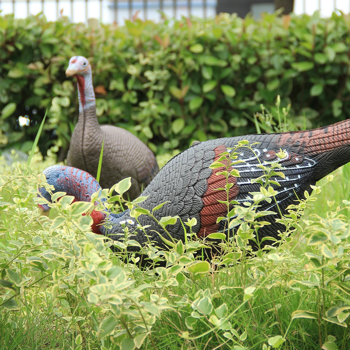 Realistic Jake and Hen (Pair) Turkey Decoys